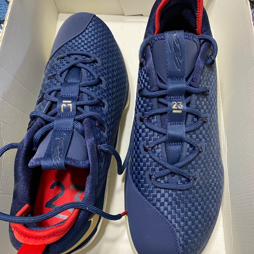 Nike Lebron xiv low sneakers